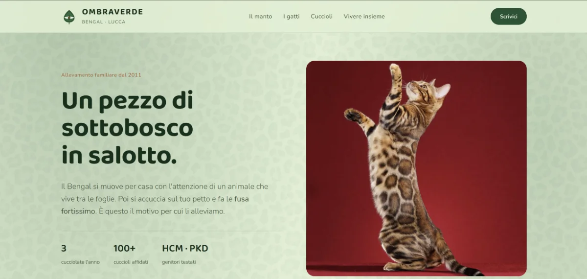 Trascina qui uno screenshot