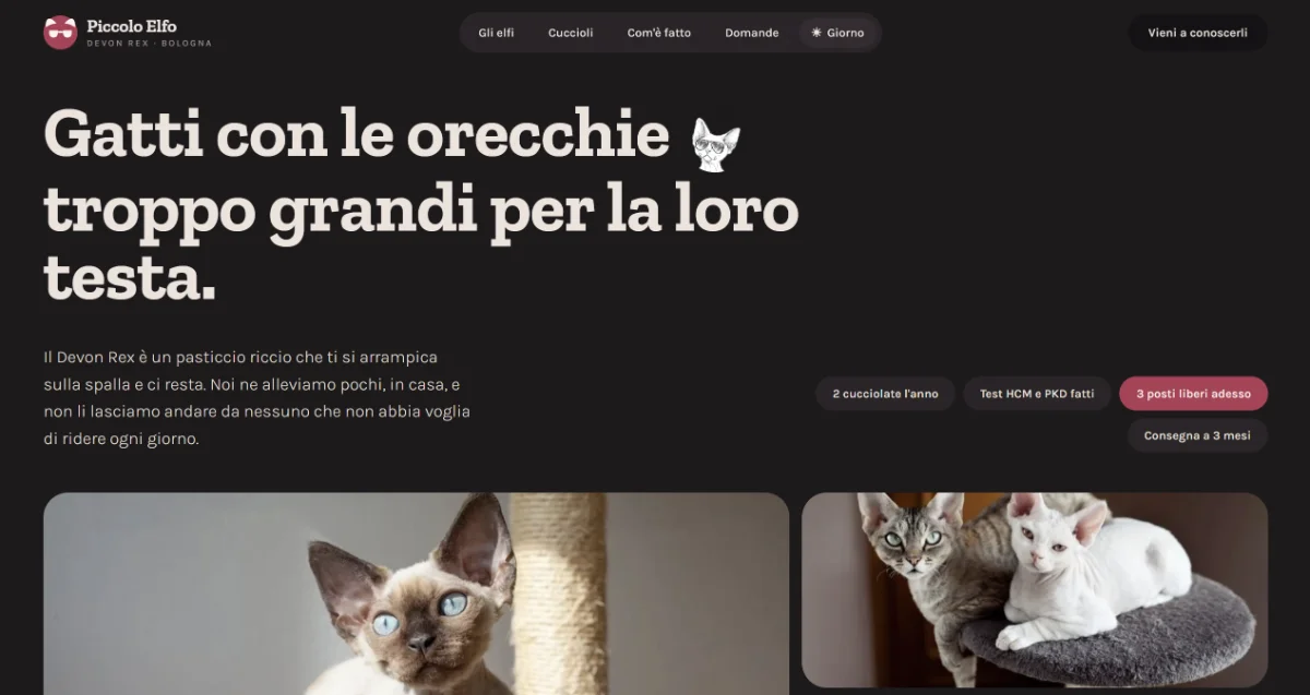 Trascina qui uno screenshot